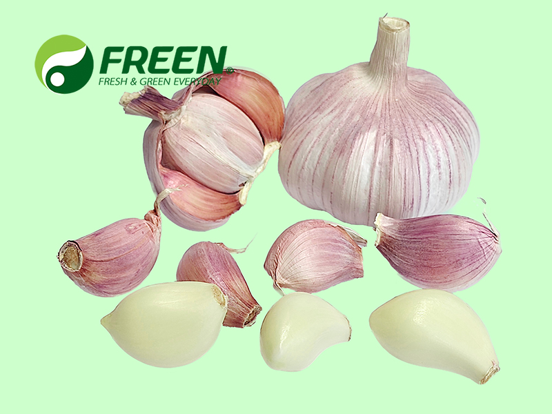 1706061984113767.jpg 2021081111004601.jpg