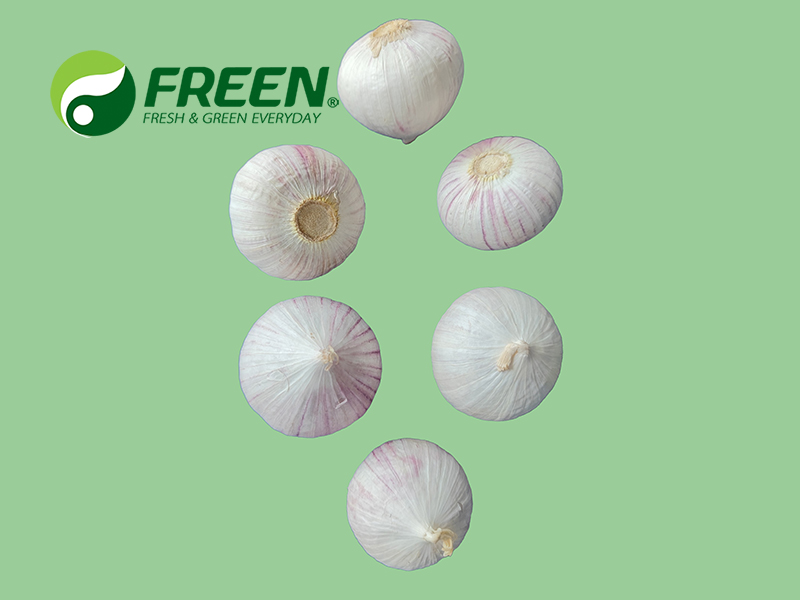 1706064521674695.jpg 20210815123745.jpg