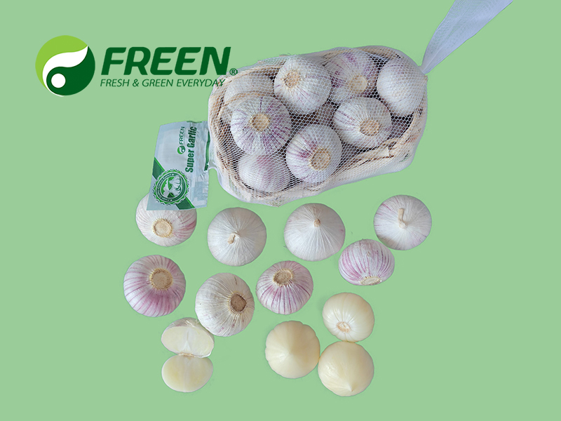 1706064548233705.jpg Solo Garlic 03.jpg