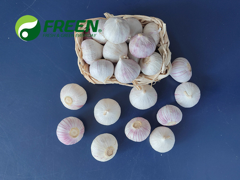 1706064550105810.jpg 微信圖片_20210811110341.jpg