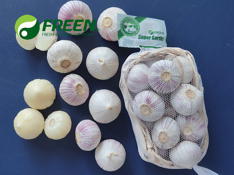 1706064552857322.jpg 微信圖片_20210811110356.jpg