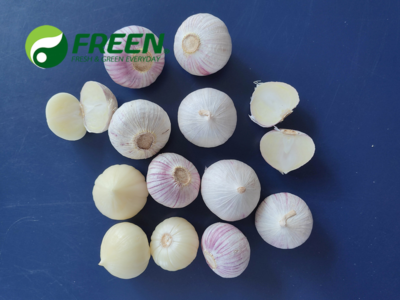 1706064555123419.jpg 微信圖片_20210811110442.jpg