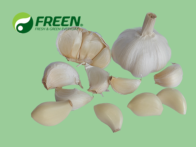 1706064615631964.jpg Pure white garlic 04.jpg