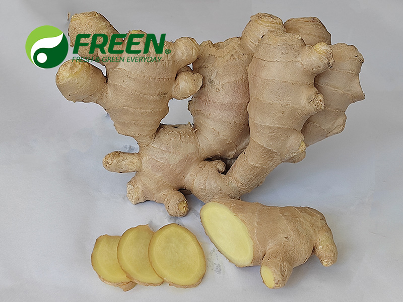 1706064667683731.jpg 微信圖片_20210916145458.jpg