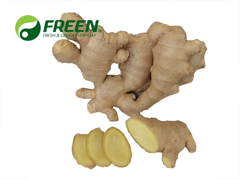 1706064670765234.jpg 微信圖片_20210916145520.jpg