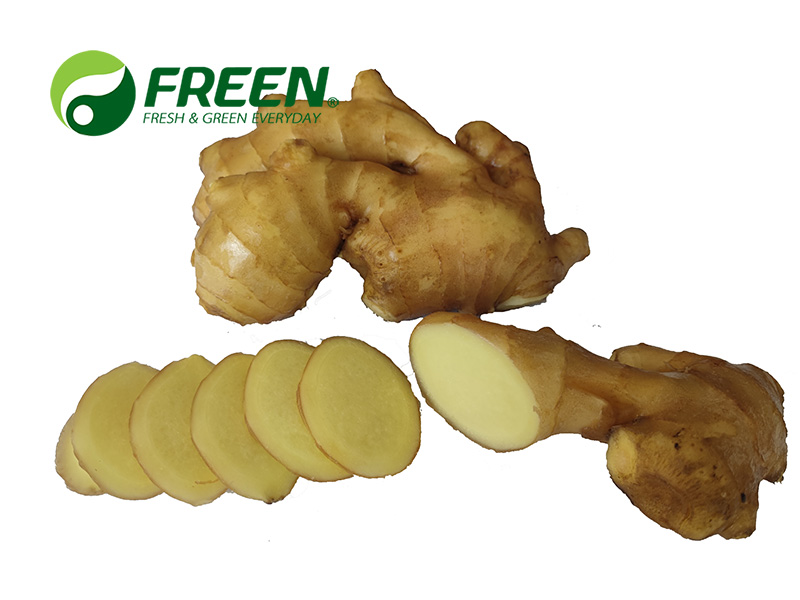 1706064711244678.jpg 微信圖片_202109161453191.jpg